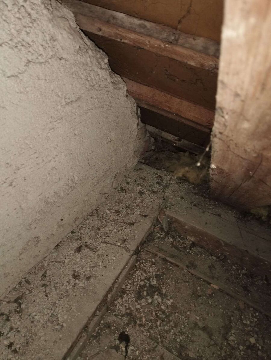 Relocate bees & remove bee nest