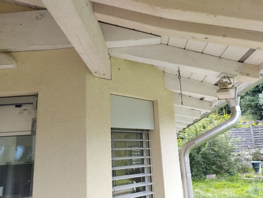 Bee nest at the house remove