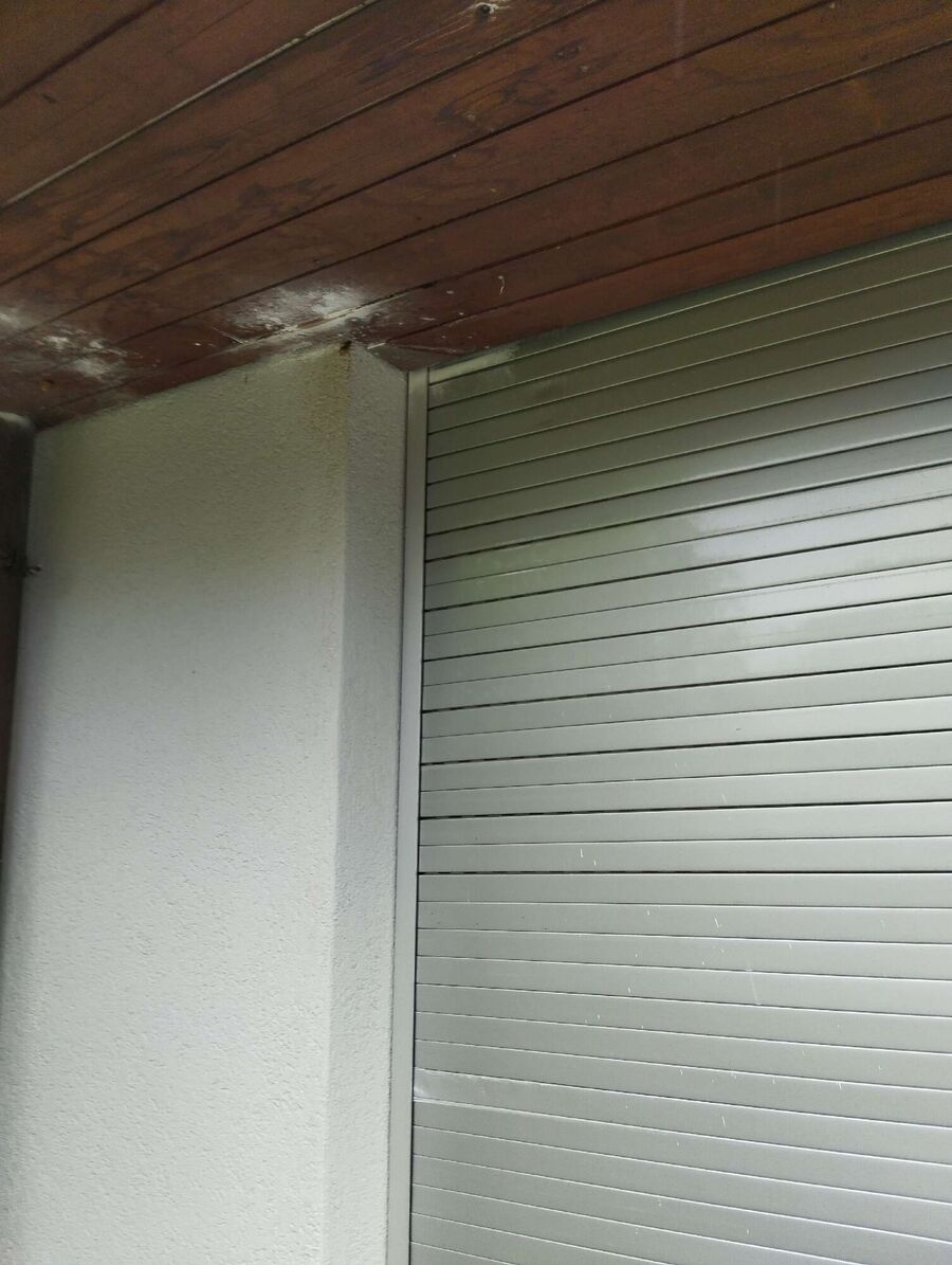 Bee nest at the house remove