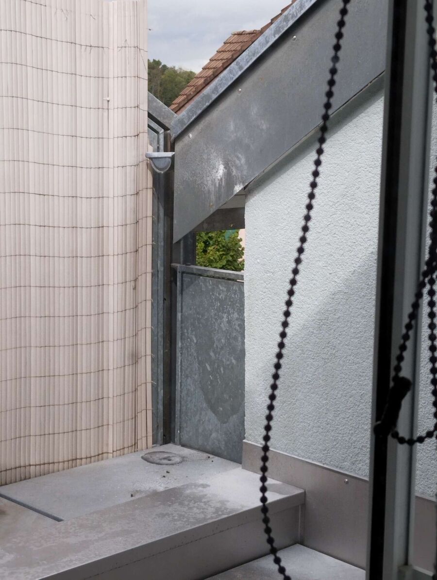 Bee nest at the house remove