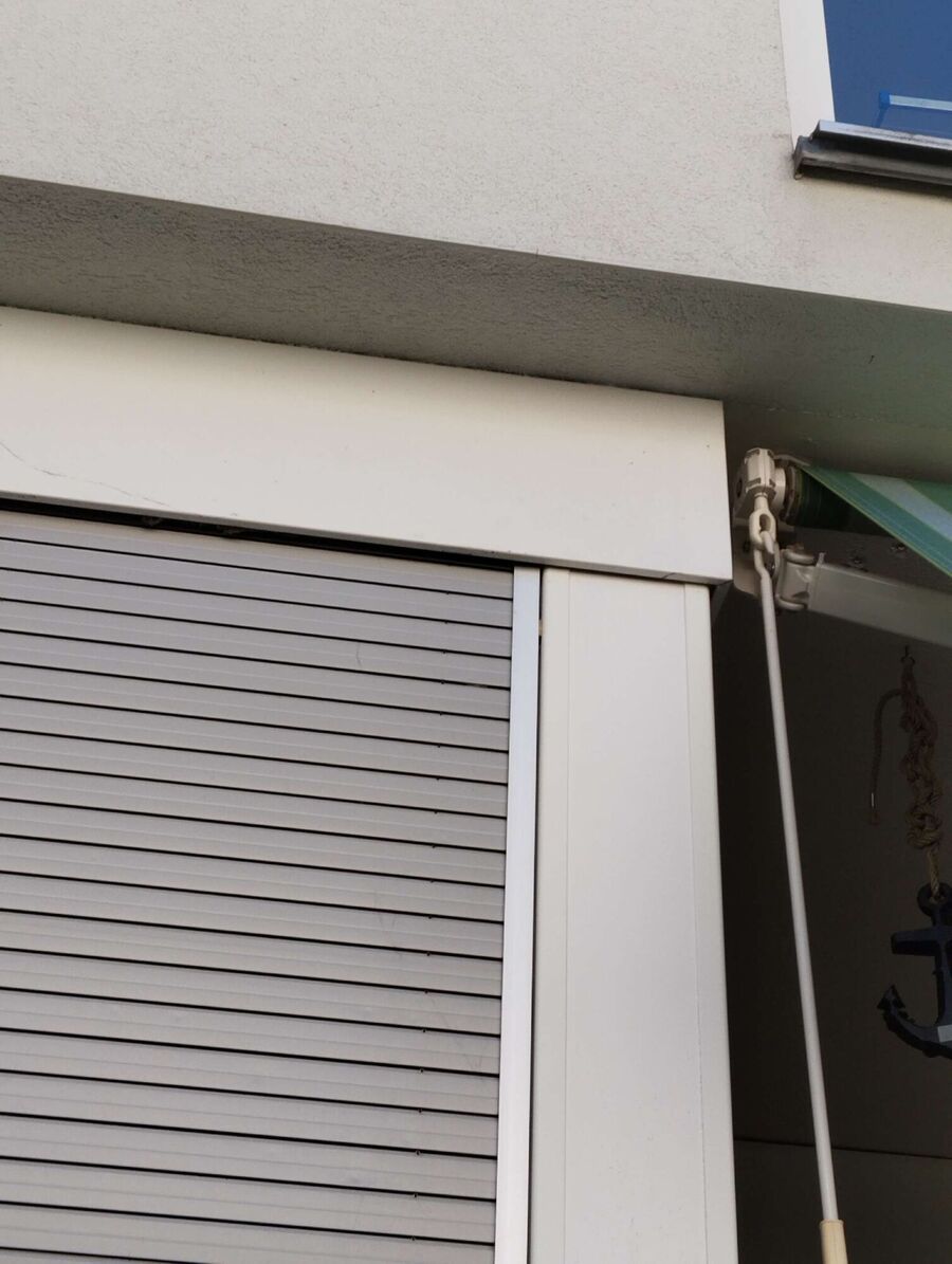 Relocate bees & remove bee nest