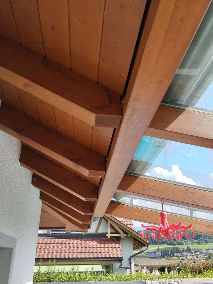 Bee nest at the house remove