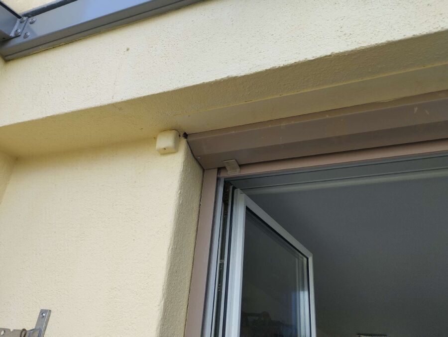 Bee nest at the house remove