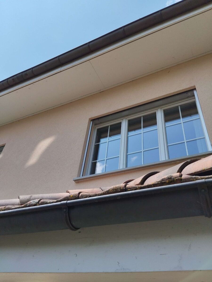 Bee nest at the house remove