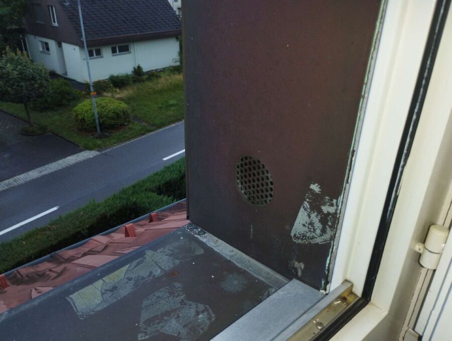 Relocate bees & remove bee nest