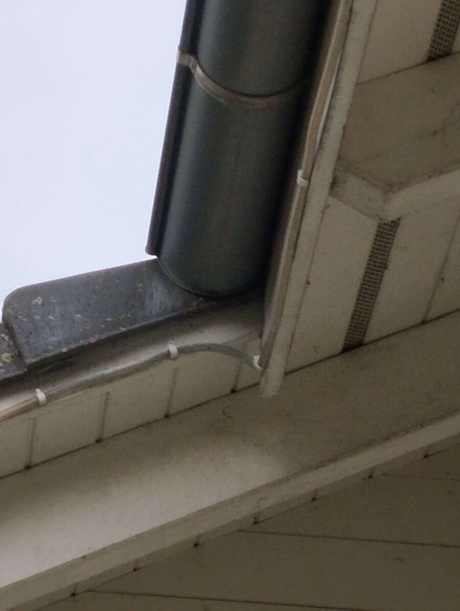 Bee nest at the house remove