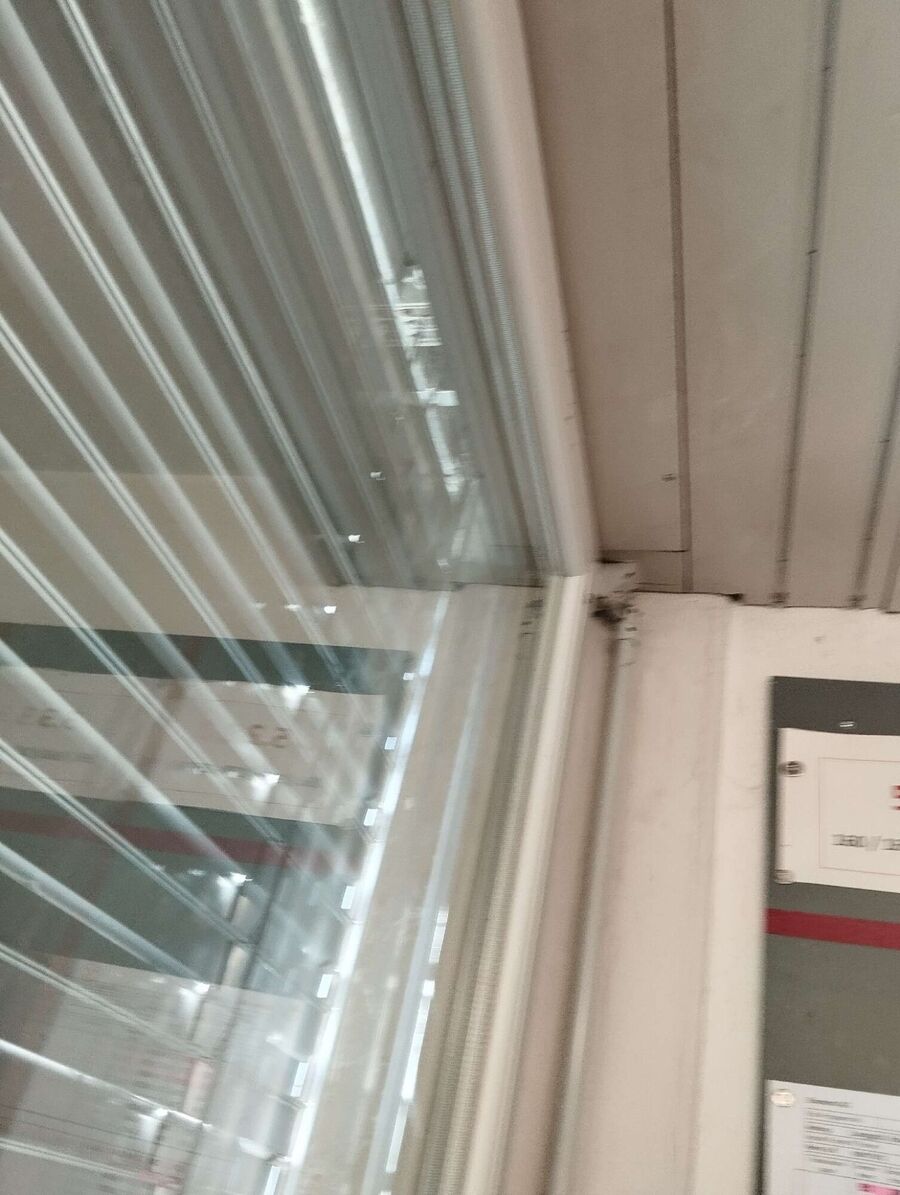 Bee nest at the house remove