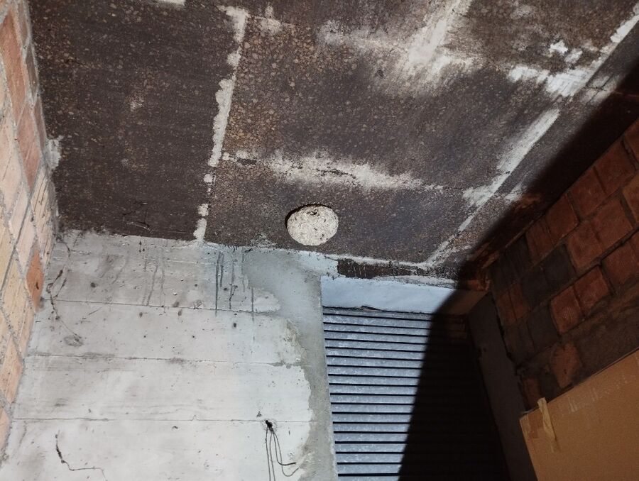 Bee nest at the house remove