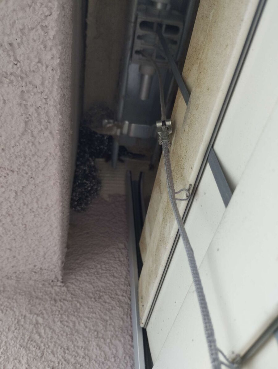 Relocate bees & remove bee nest