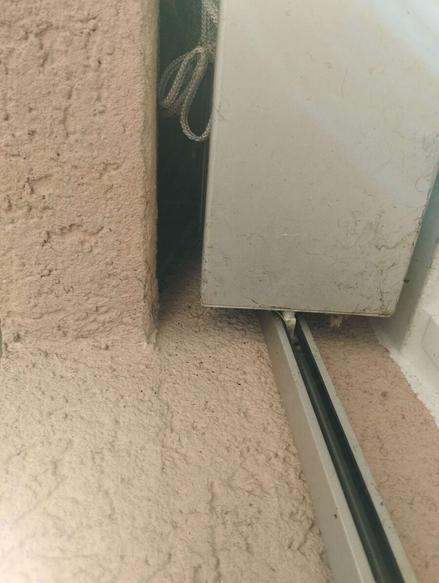 Relocate bees & remove bee nest