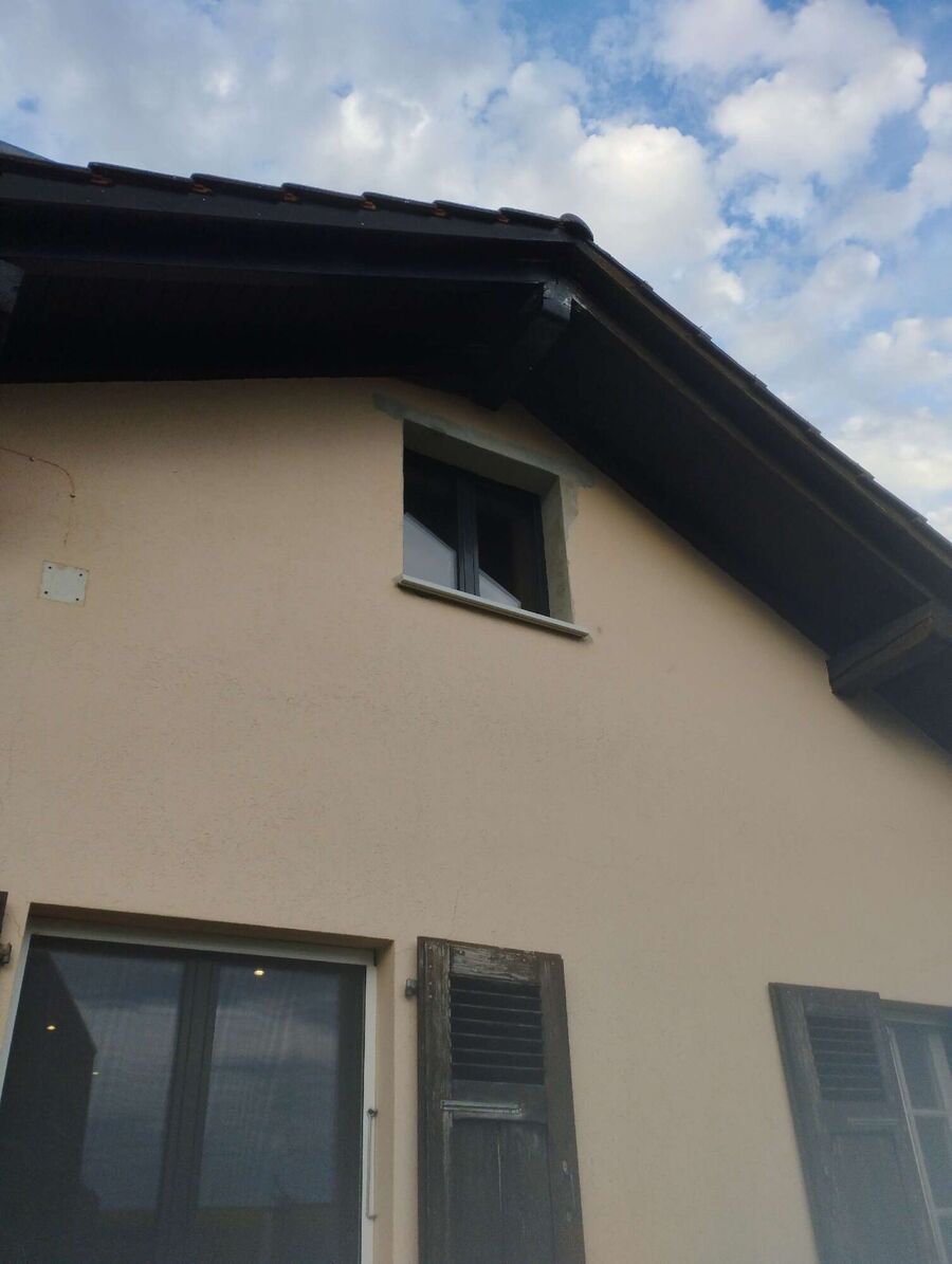 Bee nest at the house remove