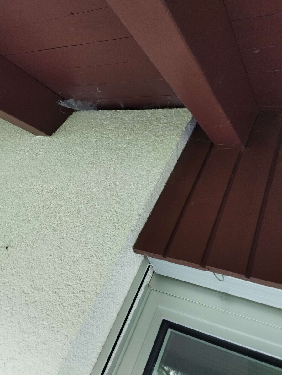 Bee nest at the house remove