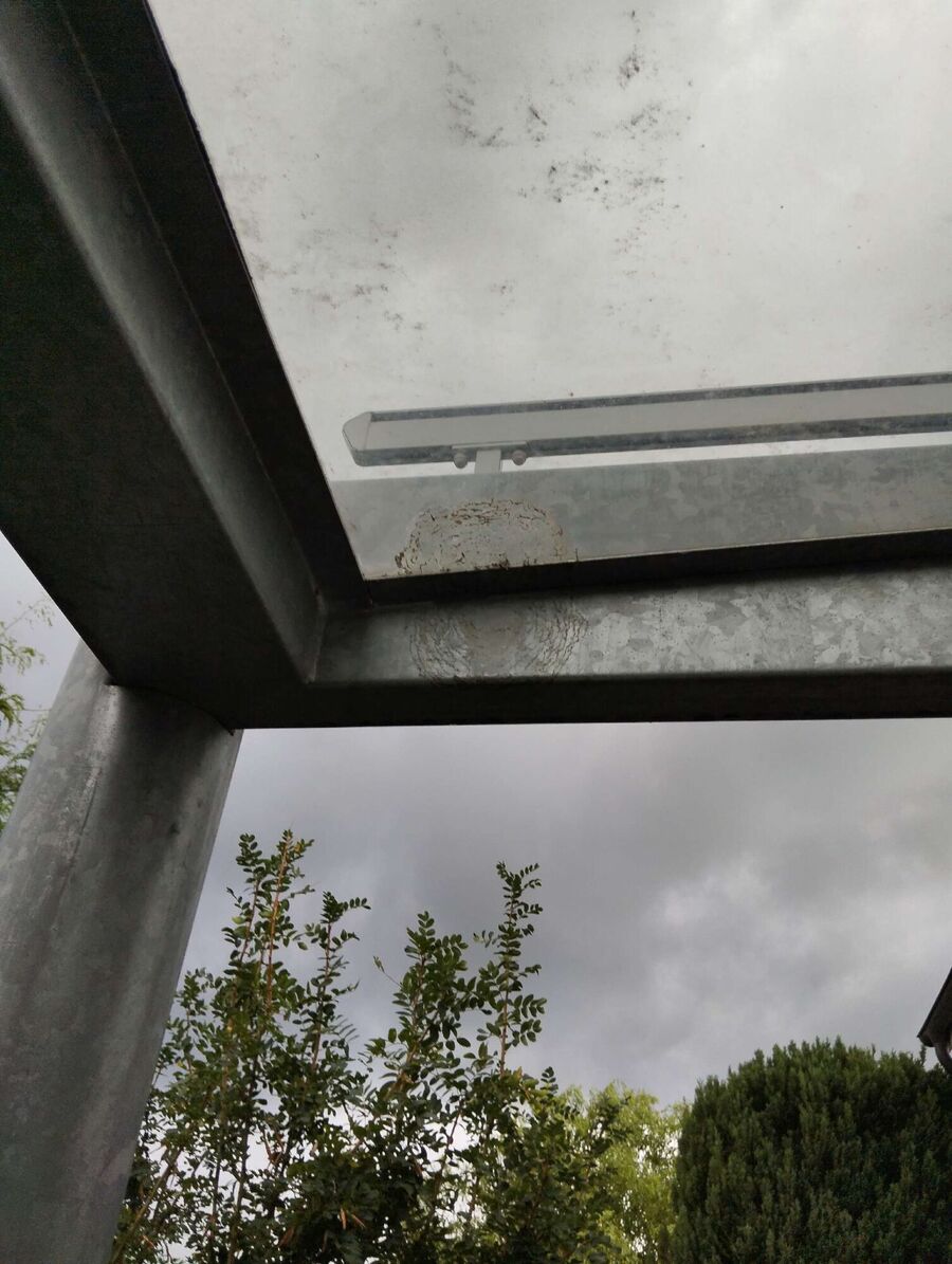 Bee nest at the house remove