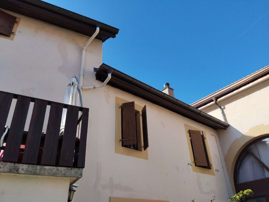 Bee nest at the house remove