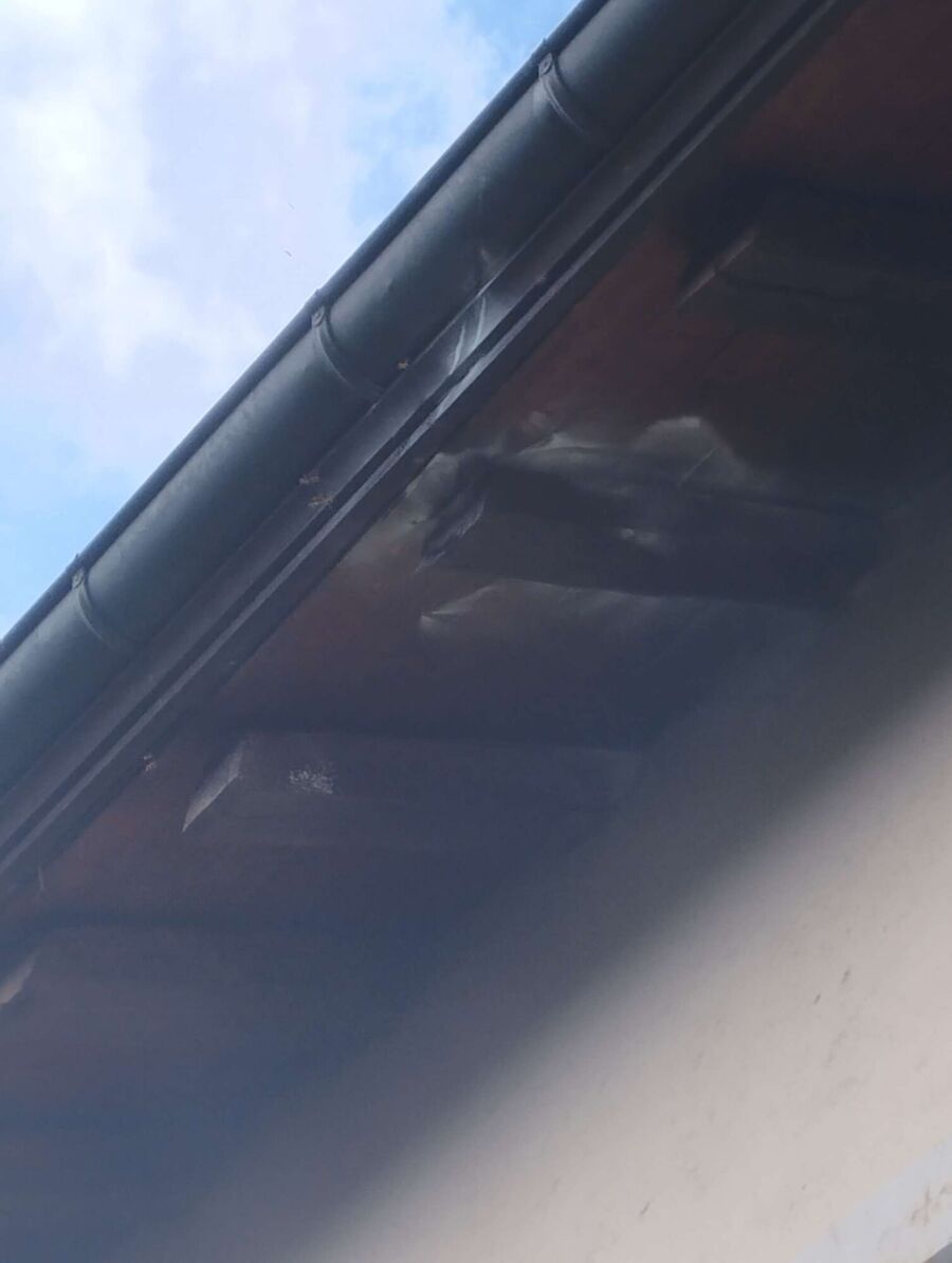 Bee nest at the house remove