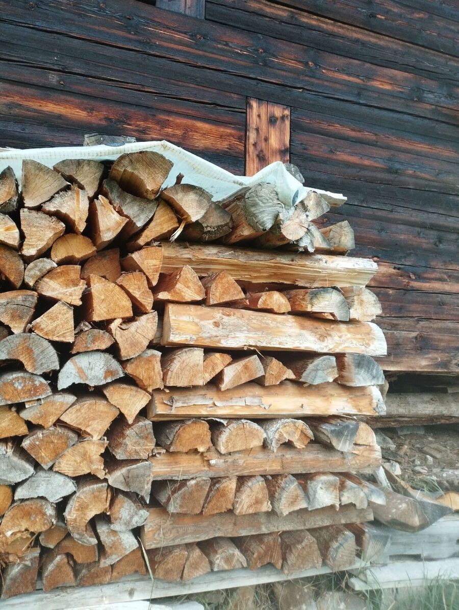 Relocate bees & remove bee nest