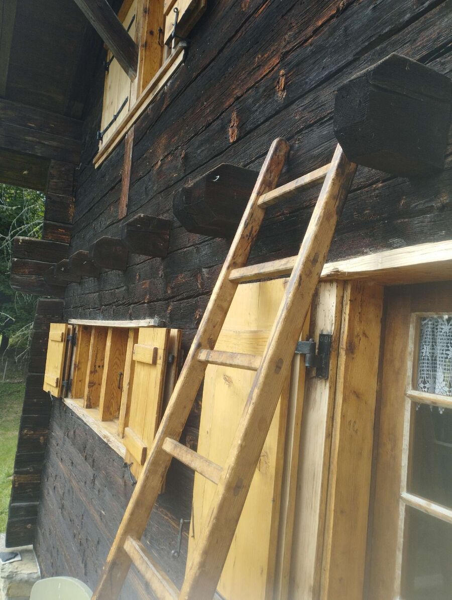 Bee nest at the house remove