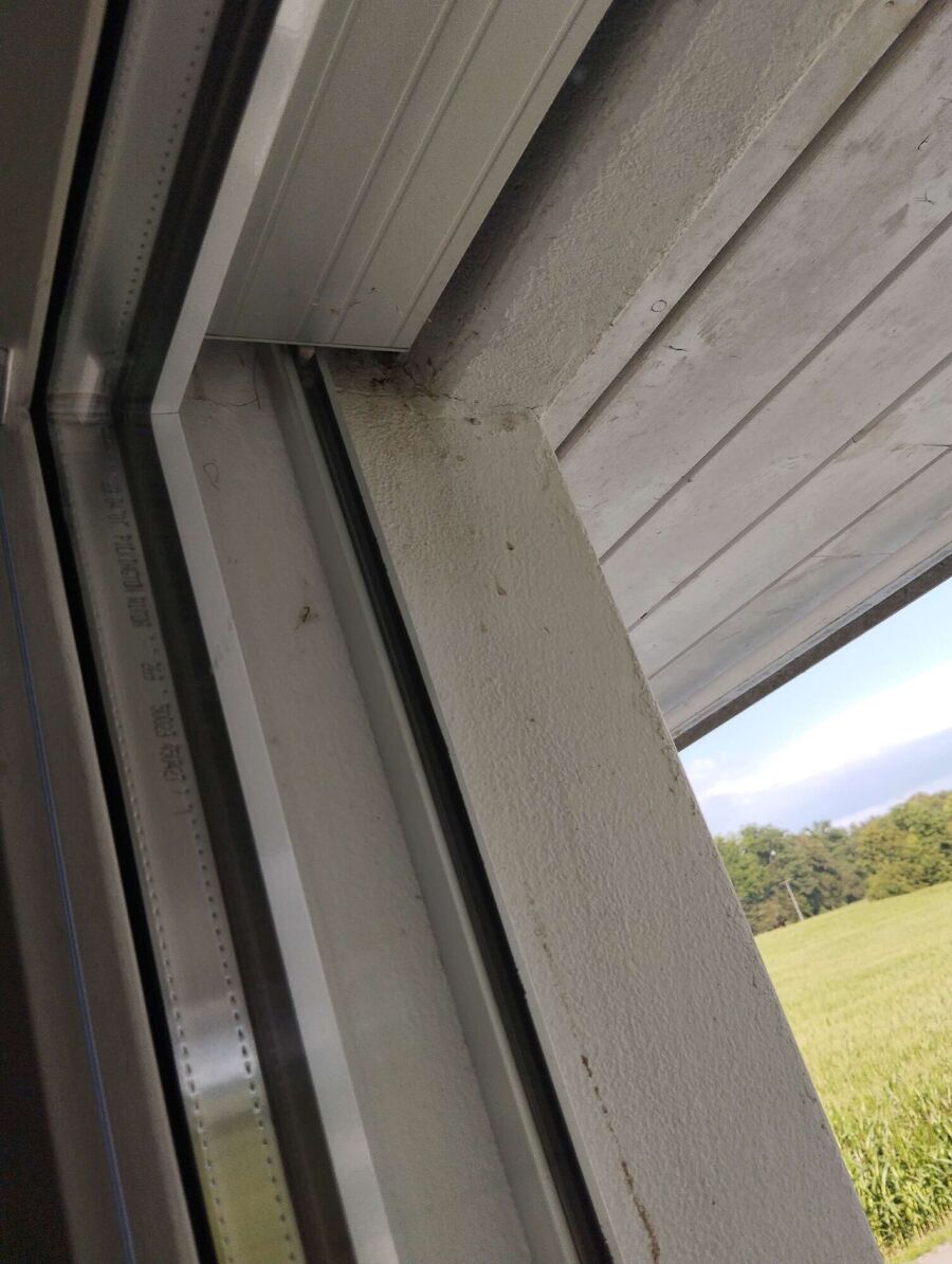 Bee nest at the house remove