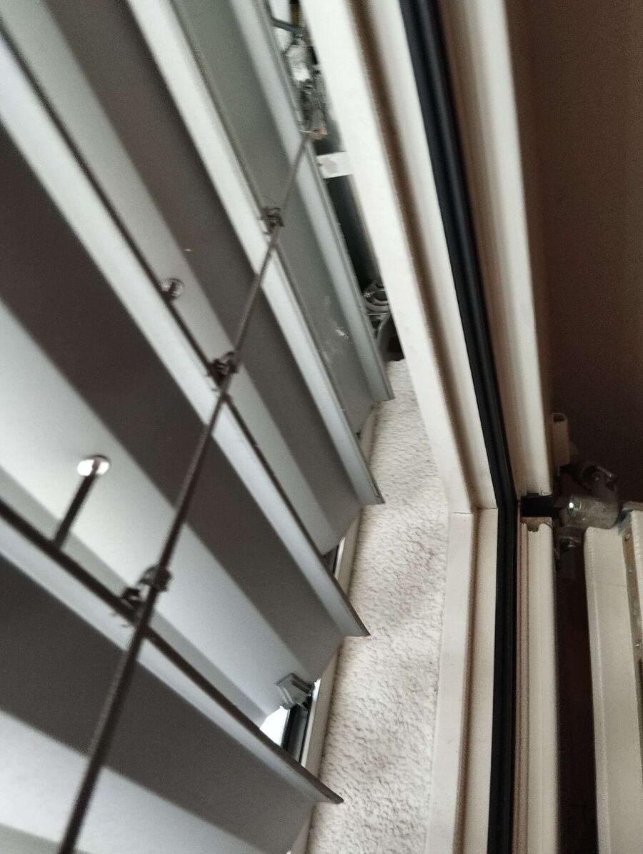 Relocate bees & remove bee nest