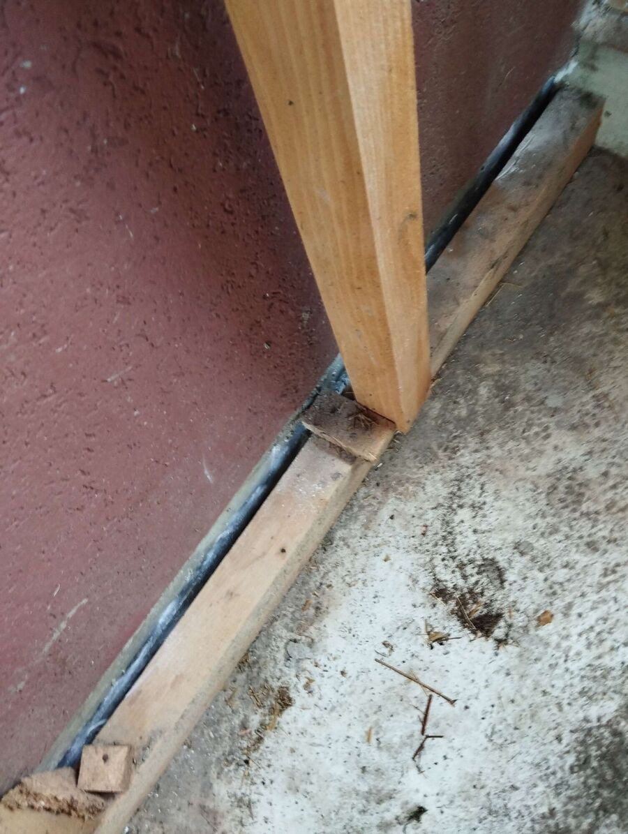 Relocate bees & remove bee nest