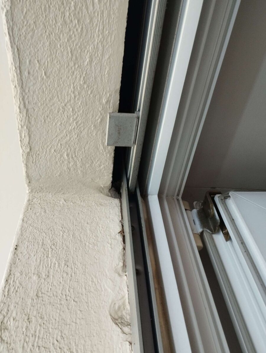 Bee nest at the house remove