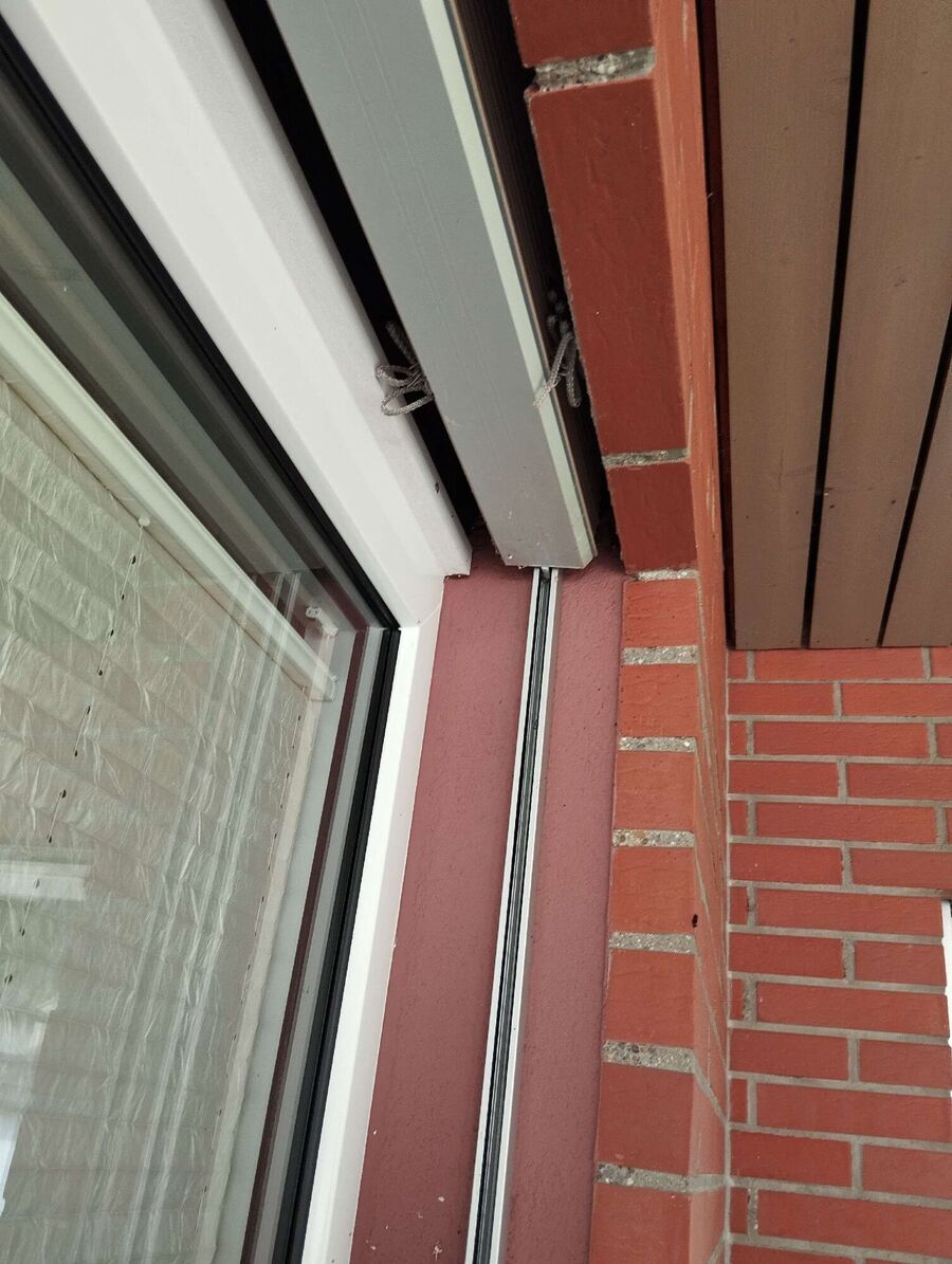 Relocate bees & remove bee nest