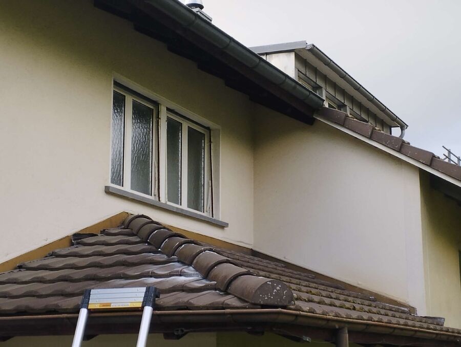 Bee nest at the house remove