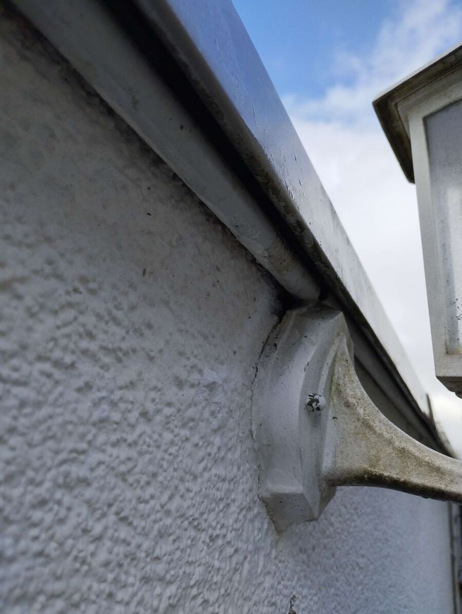 Bee nest at the house remove