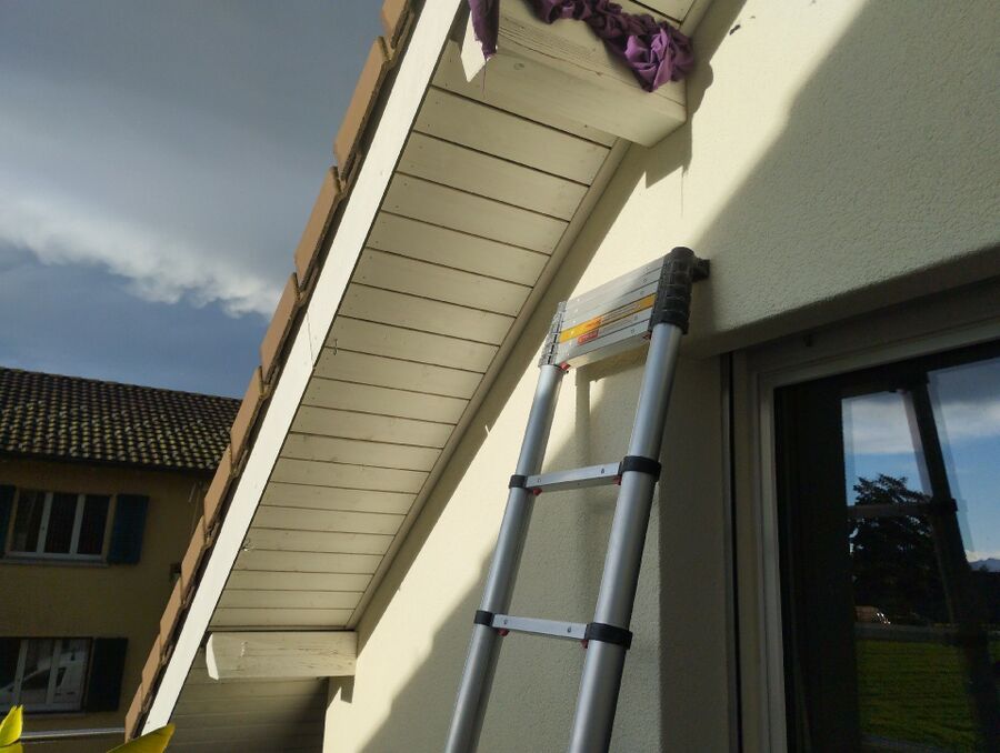 Bee nest at the house remove