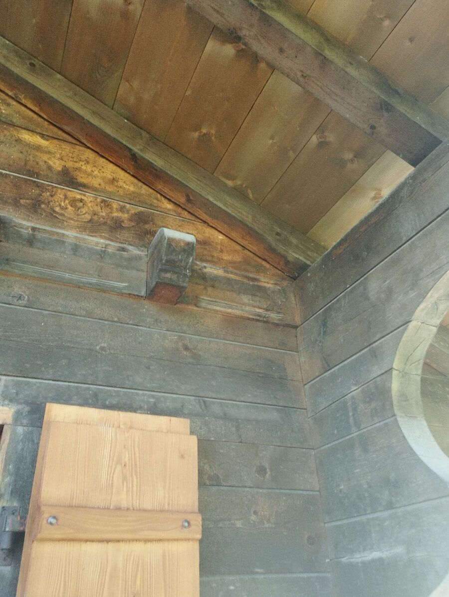 Bee nest at the house remove