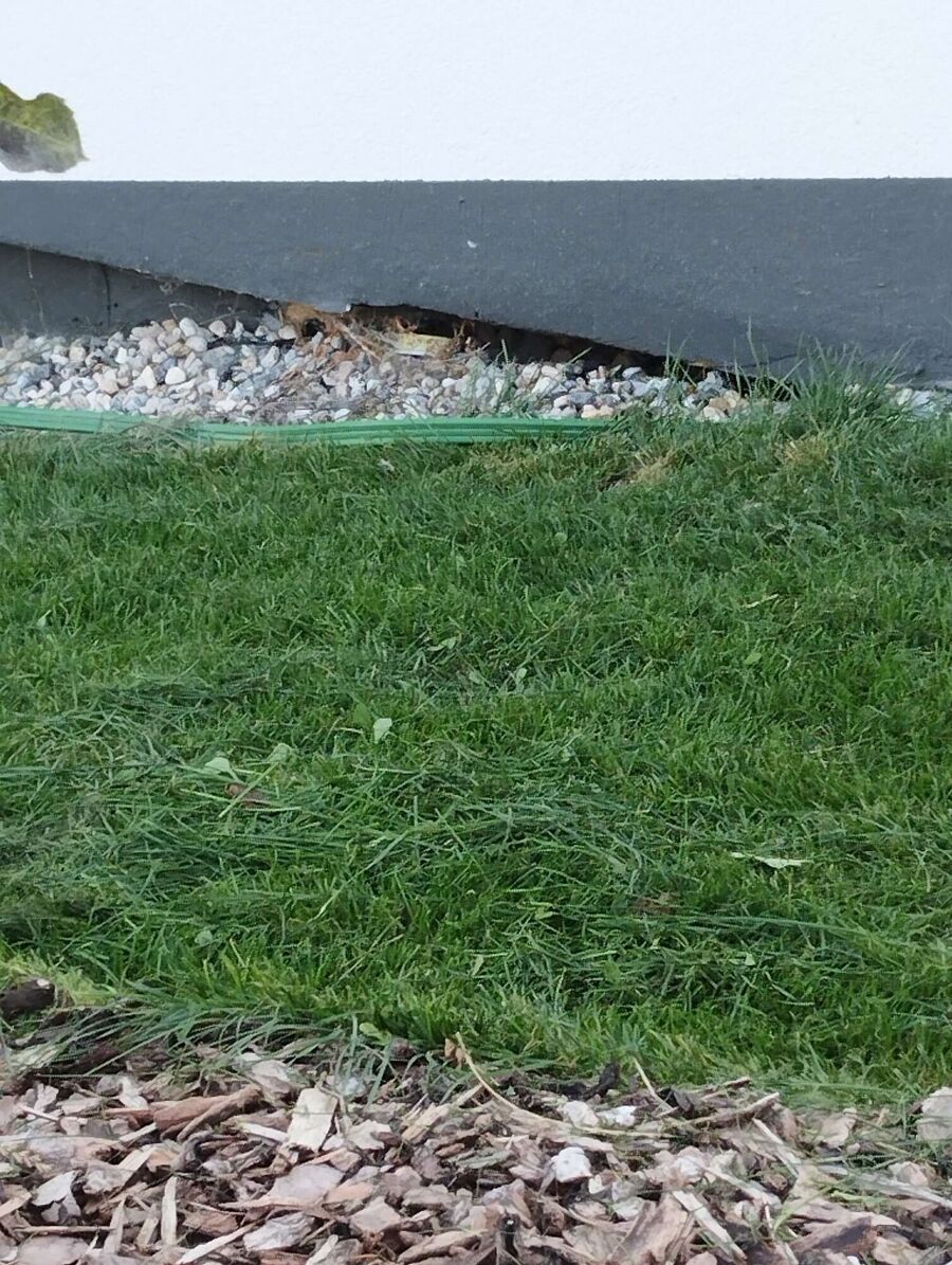 Bee nest at the house remove