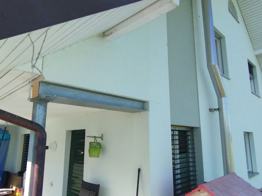 Relocate bees & remove bee nest