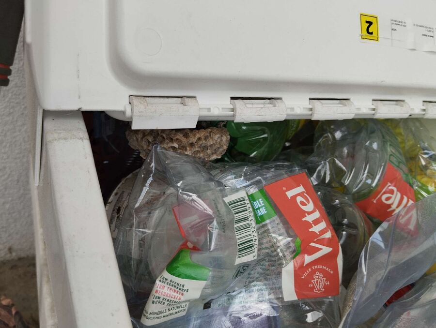 Bee nest at the house remove