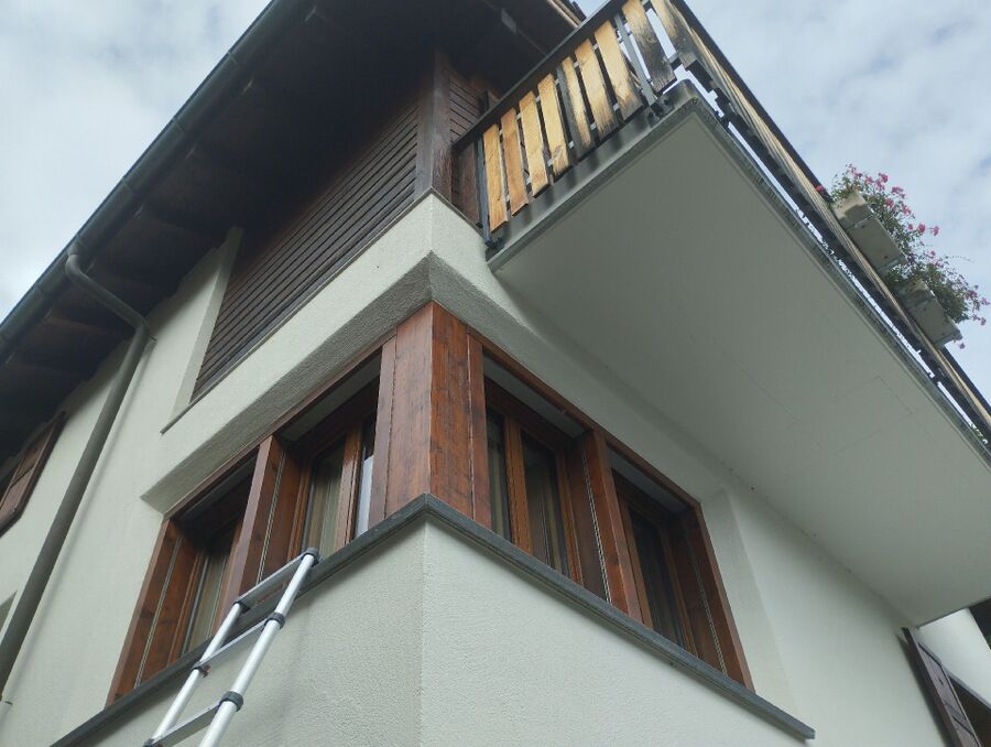 Bee nest at the house remove