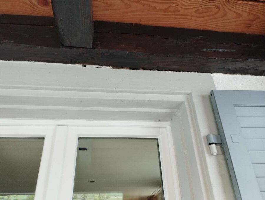 Bee nest at the house remove