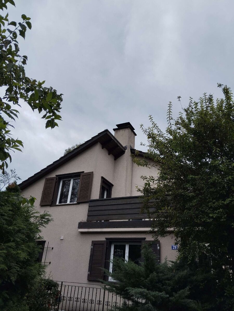 Bee nest at the house remove