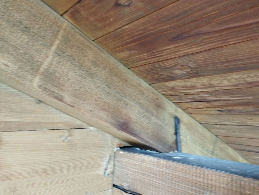 Bee nest at the house remove