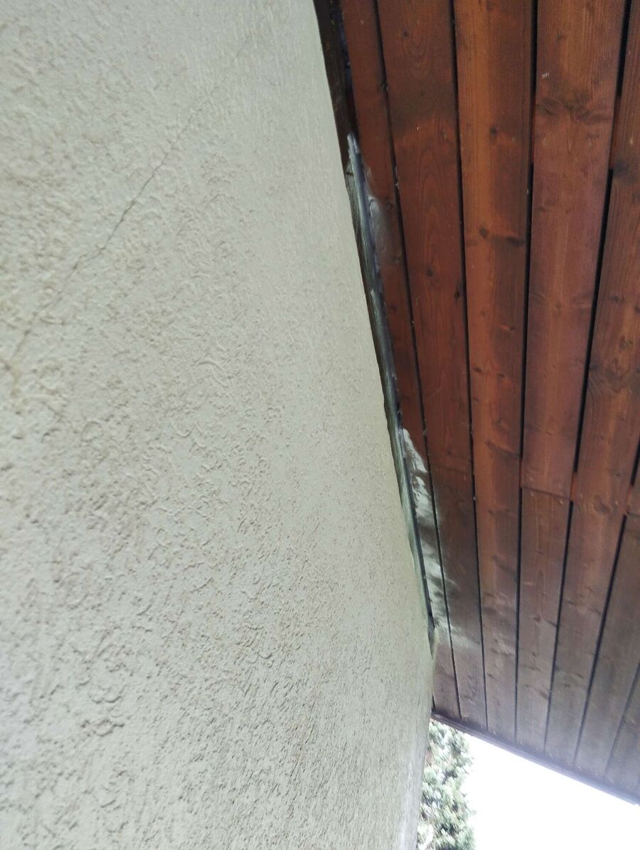 Relocate bees & remove bee nest