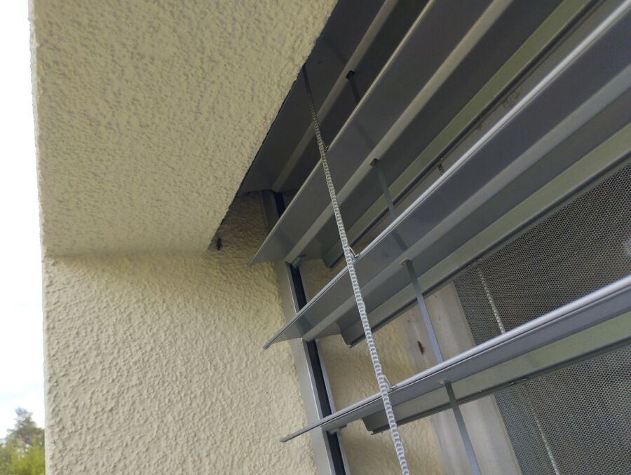 Bee nest at the house remove