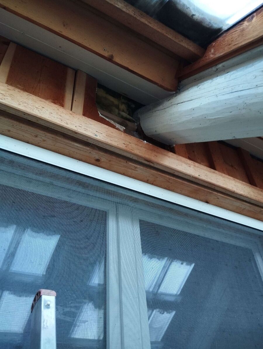 Bee nest at the house remove