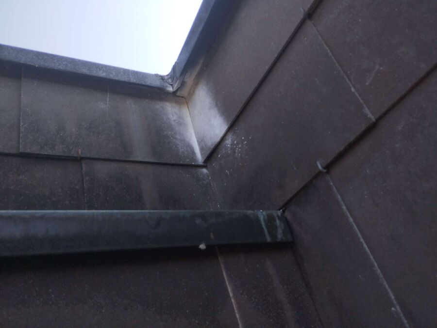 Bee nest at the house remove