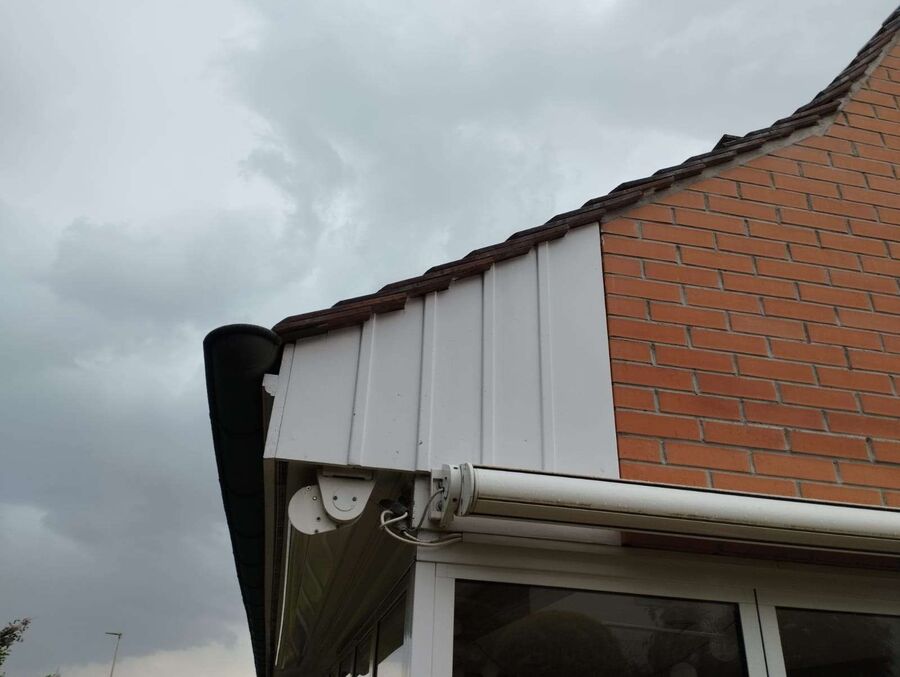 Relocate bees & remove bee nest