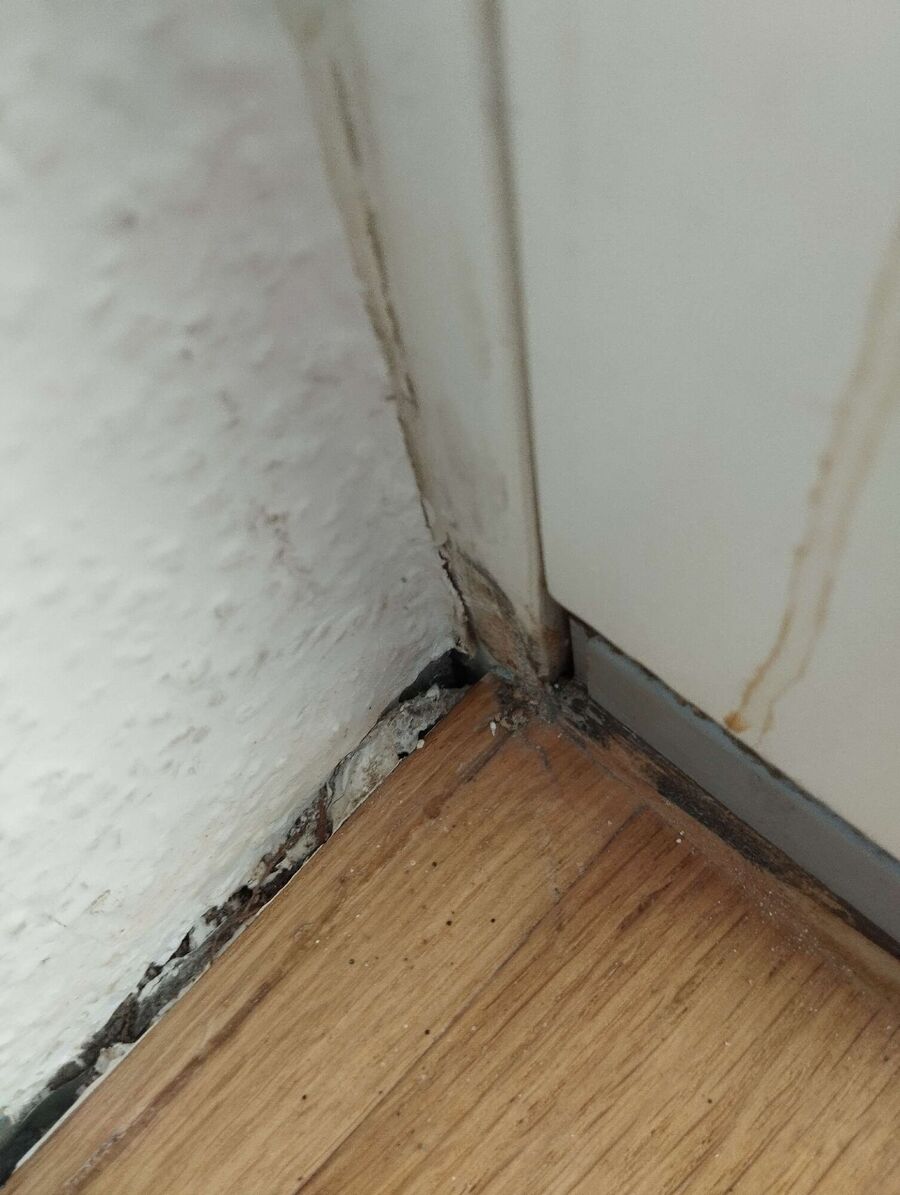 Bee nest at the house remove