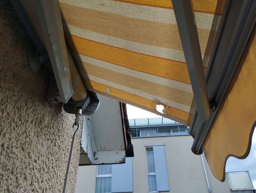 Bee nest at the house remove