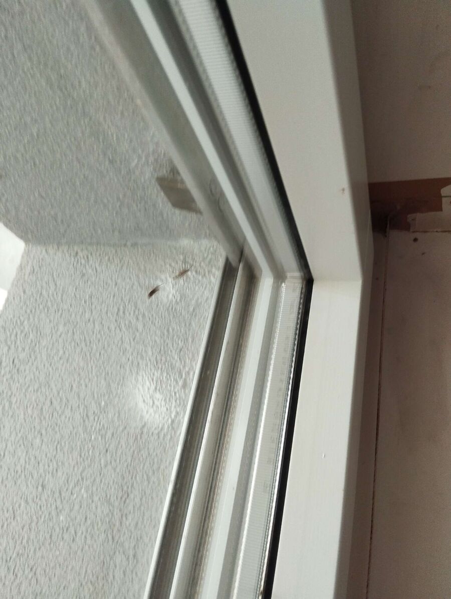 Relocate bees & remove bee nest