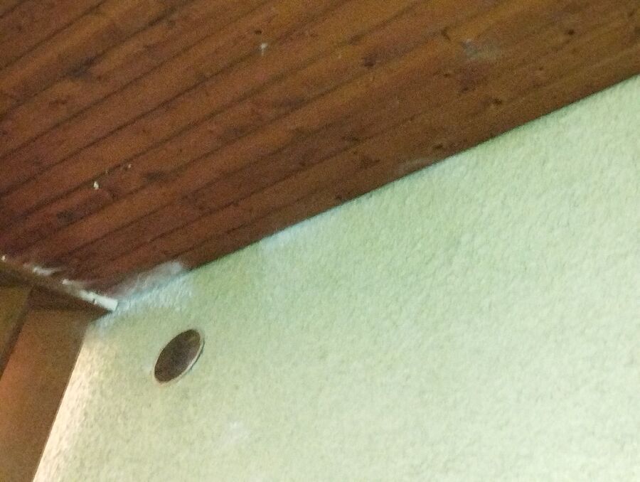 Bee nest at the house remove