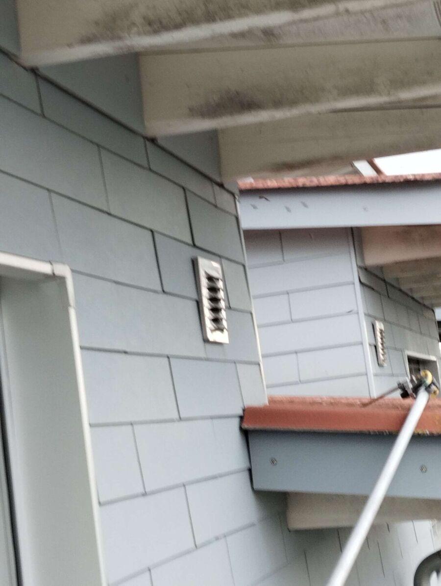 Bee nest at the house remove