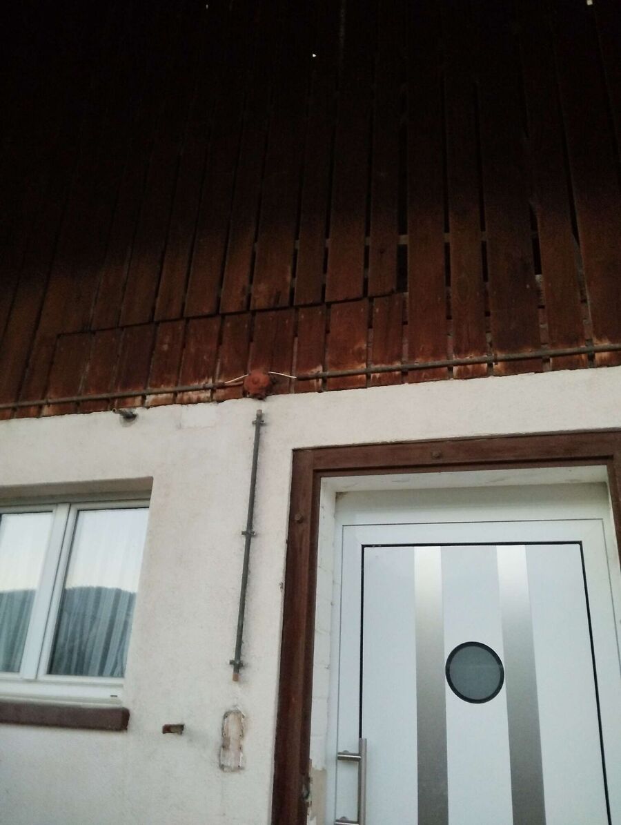 Bee nest at the house remove