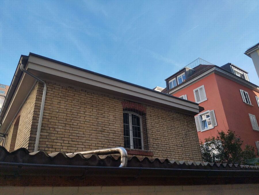 Relocate bees & remove bee nest