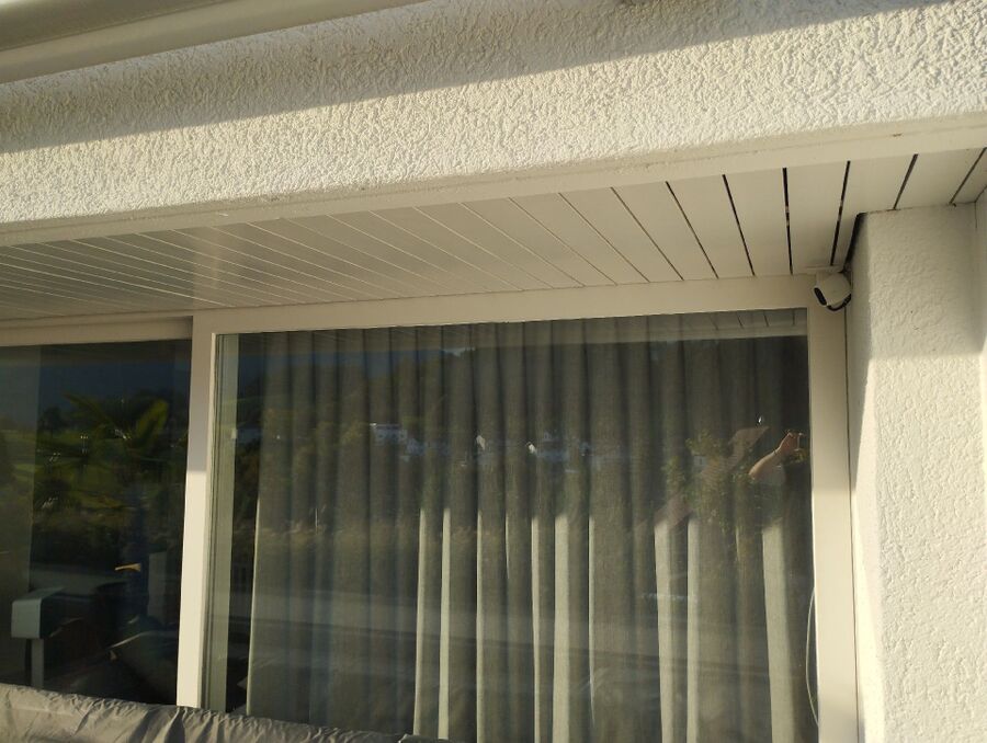 Relocate bees & remove bee nest